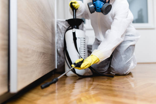 Best Pest Removal Services  in Phoenix, NY