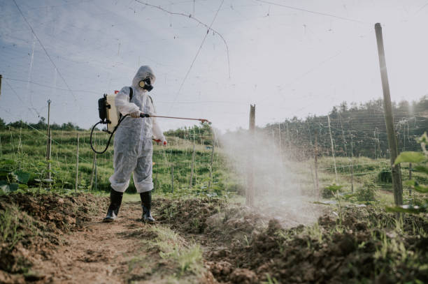 Best Mosquito Control Services  in Phoenix, NY