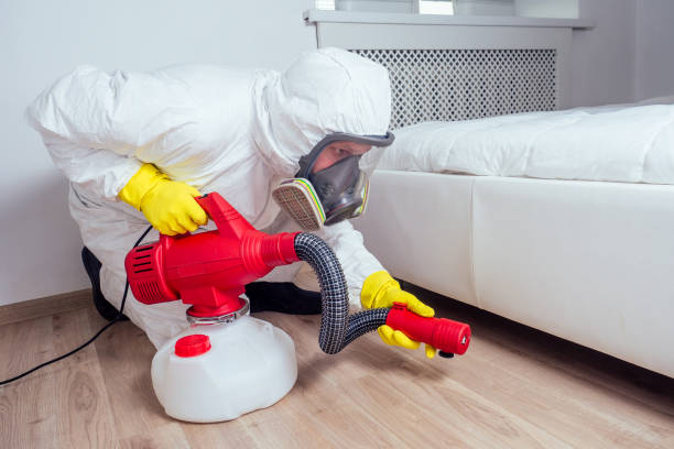 Best Local Pest Control Services  in Phoenix, NY