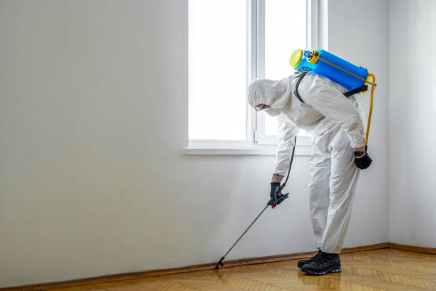 Best Flea Control Services  in Phoenix, NY