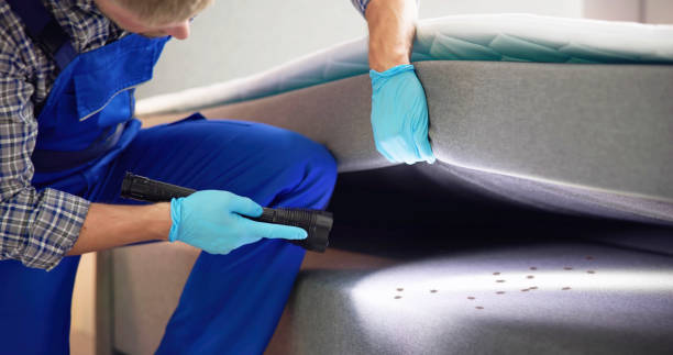 Flea Control Services in Phoenix, NY
